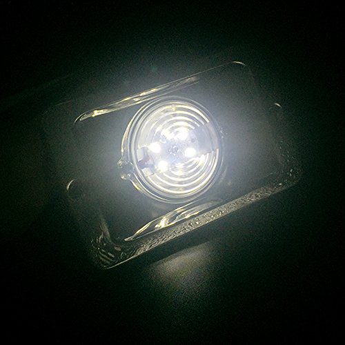 مصباح LED مثبت على السقف